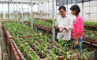 Application of bio-preparations: Green agriculture, clean farm produce