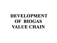 Development of biogas value chain