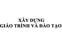 Xây dựng giáo trình và đào tạo