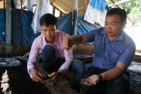 The first clean-meat farm in Binh Dinh