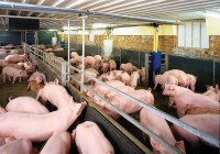 Set up from the farm economy model