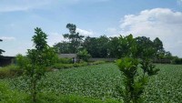 Bắc Giang: Khảo sát mặt bằng các trang trại để lập bản vẽ chi tiết cho mô hình máy tách phân trang trại