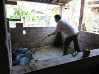 LCASP Lào Cai: Điểm sáng về quản lý chất thải chăn nuôi tại xã nông thôn mới Nậm Cang, huyện Sa Pa, tỉnh Lào Cai