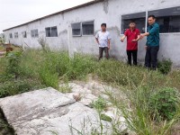 Huyện nông thôn mới ở Nam Định hưởng lợi từ dự án LCASP