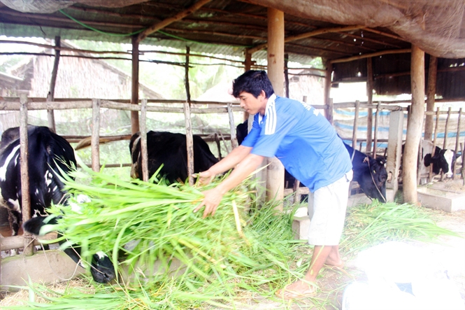 Cú hích cho Mỹ Tú