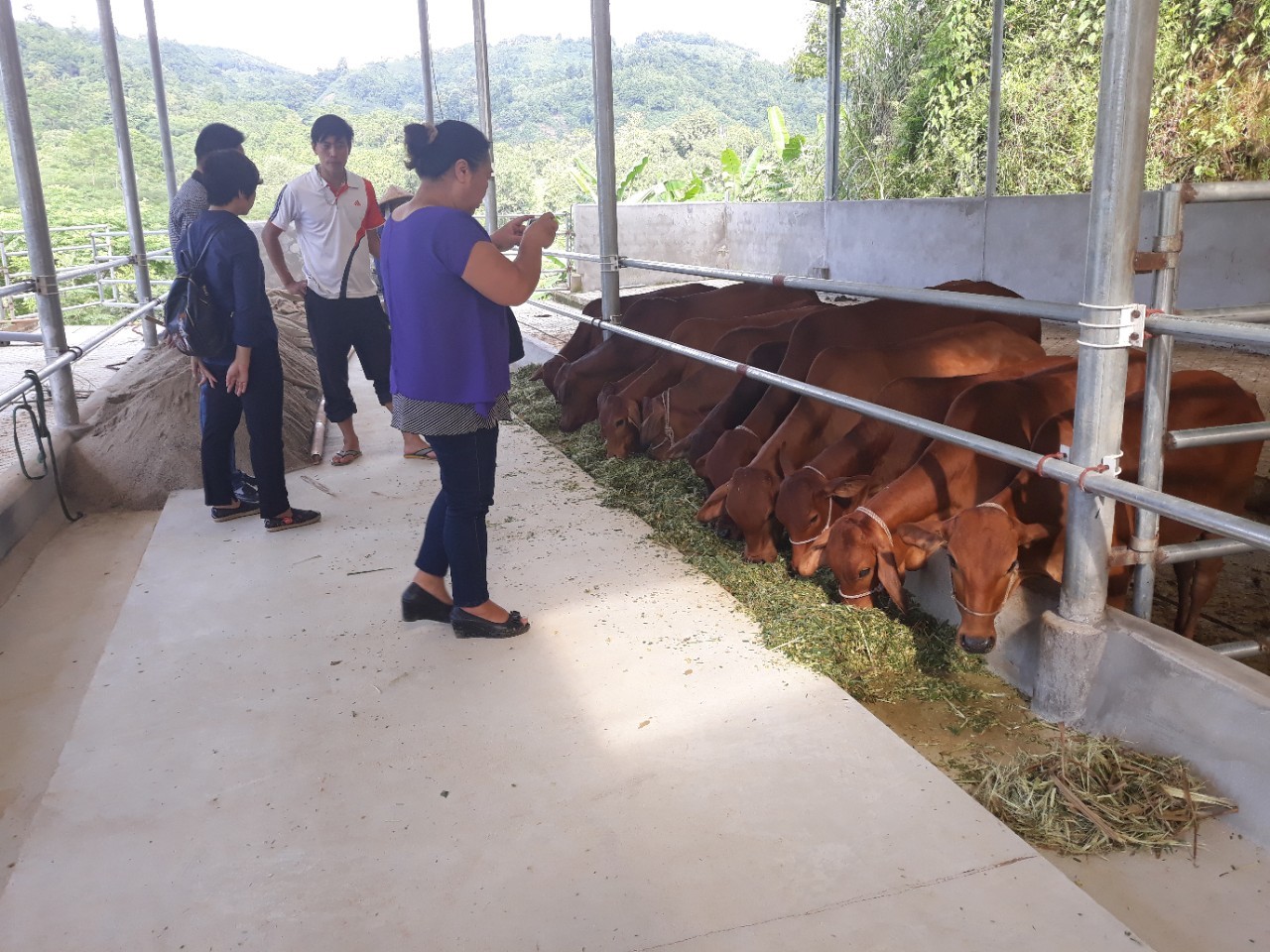 Đoàn tư vấn khảo sát tại thực địa